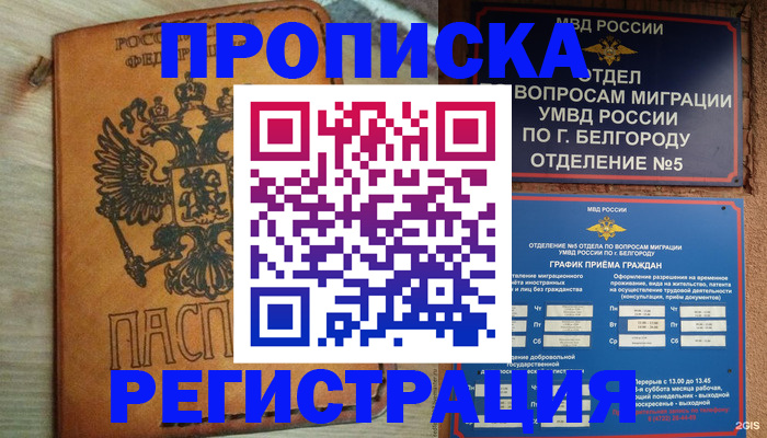 прописка для работы в Ковылкино